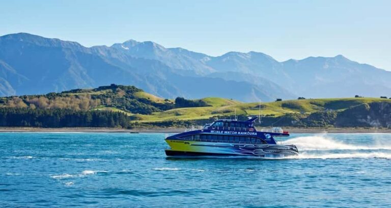 Christchurch: Kaikoura Whale Watching Day Tour - Arrival in Kaikoura and First Impressions