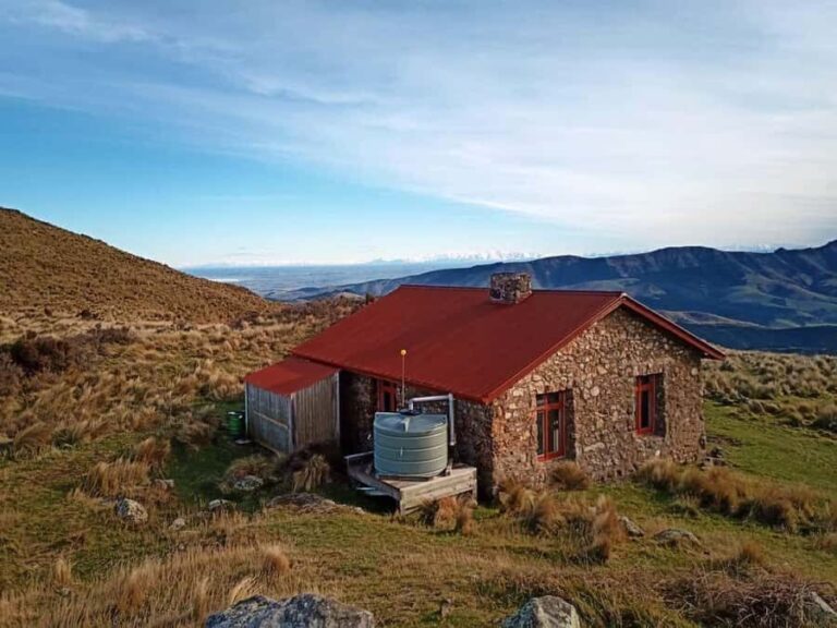 Christchurch: Packhorse Hut Guided Walk and Scenic Drive - The Itinerary Breakdown