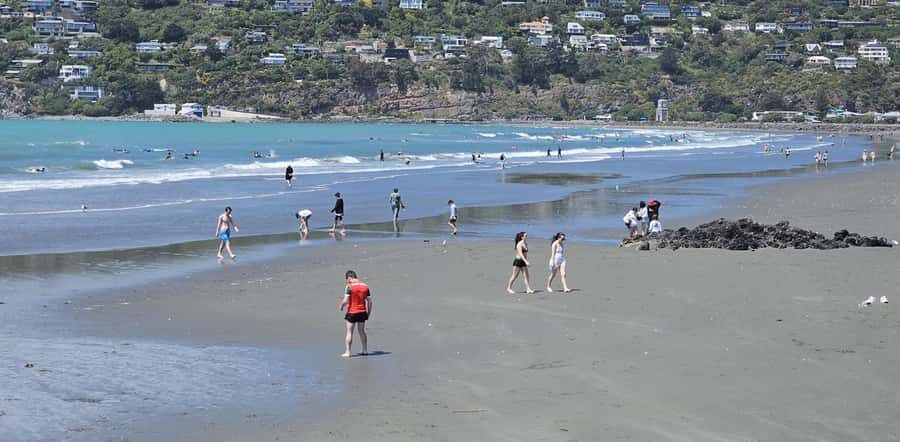 Christchurch Sightseeing & Lyttelton Harbour Tour - What Makes This Tour Stand Out?