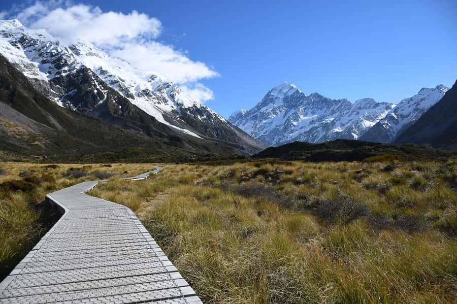 Christchurch to Mt Cook via Lake Tekapo (1 way) - Practical Tips for Making the Most of Your Trip