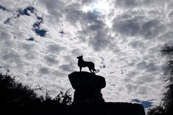 Christchurch to Tekapo Small-Group Tour (one-way) - The Comfort of the Transportation and Group Size