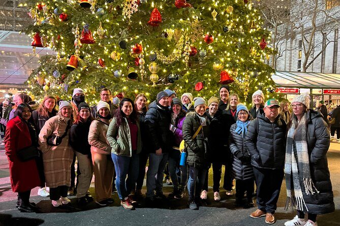 Christmas Holiday Lights Private Tour - Practical Tips and Considerations