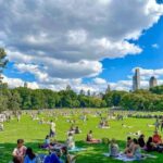 Christmas in Central Park: Horse Carriage Holiday Tour - The Experience in Detail