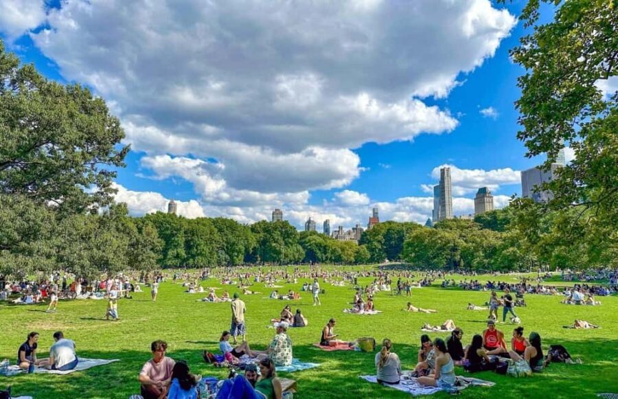 Christmas in Central Park: Horse Carriage Holiday Tour - The Experience in Detail