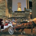 Christmas in New York: Holiday Lights Horse Carriage Ride - Key Points