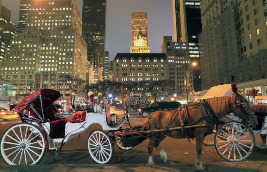 Christmas in New York: Holiday Lights Horse Carriage Ride - Key Points