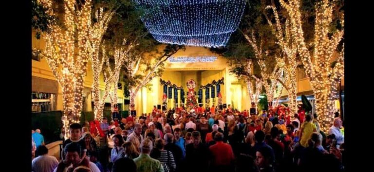 Christmas in New York: Skip-the-Line Holiday Lights Tour - What’s Included and What to Keep in Mind