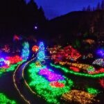 Christmas in Victoria and the Butchart Gardens - Who Will Love This Tour?