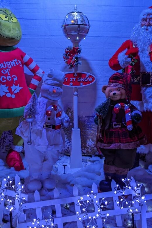 Christmas Light Night tour - Authentic Traveler Insights