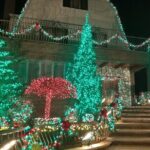 Christmas Lights Tour of Dyker Heights Brooklyn - The Bottom Line