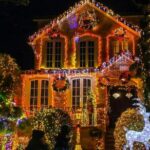 Christmas Lights Tour of Dyker Heights in Brooklyn by a Local - Who Is This Tour Best For?