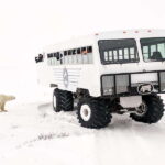 Churchill: Exclusive Tundra Buggy Day Trip - Who Is This Tour Best For?