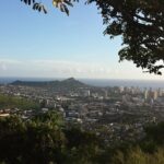 Circle Island 8hr Private Small Group Tour - What Travelers Say