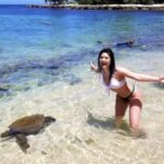 Circle Island: Swim with Turtles and Explore Paradise Oahu - The Value of This Tour