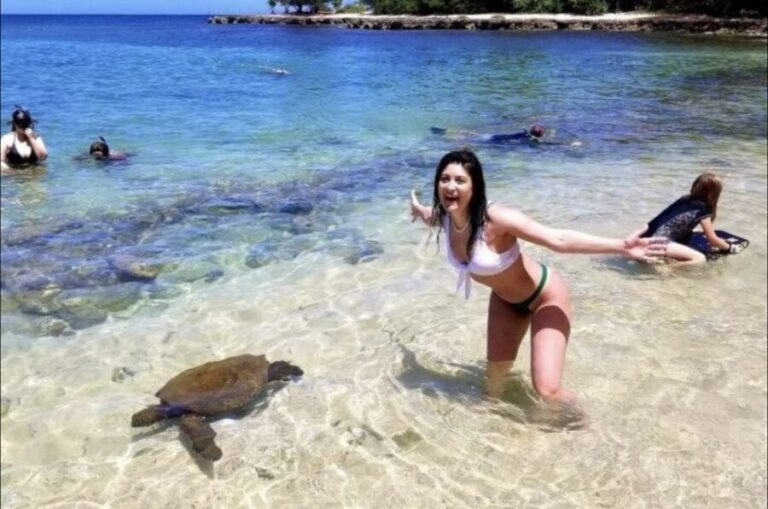 Circle Island: Swim with Turtles and Explore Paradise Oahu - The Value of This Tour