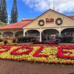 Circle Island Tour - The Practicalities: What’s Included and What’s Not