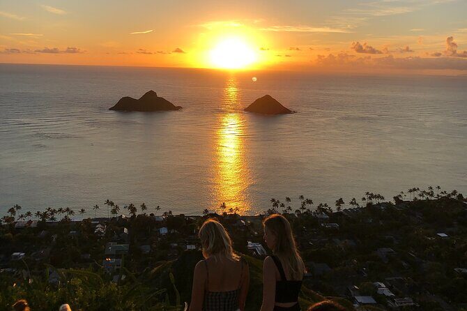 Circle Island tours - swim with turtles,Private & Small Group Tours - How Guides Enhance the Experience