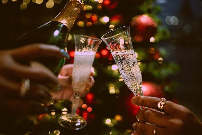 Circle Line: New Years Eve Dinner & Fireworks Cruise (All Ages) - Who Is This Cruise Best For?