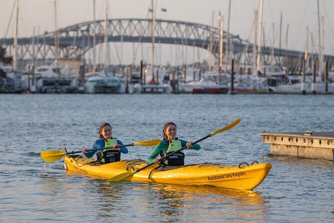 City Scenes Kayak Tour in Auckland - Explore the Waterfront - The Itinerary: What to Expect Step-by-Step