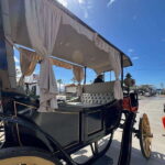 City tour on electric horse wagon. - Detailed Breakdown of the Experience