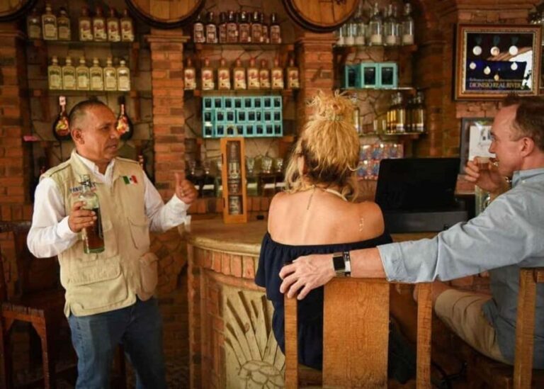 City Tour to Cabo San Lucas and Transparent boat to the Arch - What to Expect from the Tour