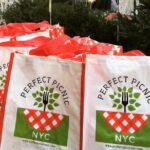 Classic Picnic for 2 (Grab and Go) - The Logistics and Location