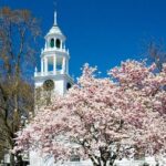 Classic Television and Sightseeing Locations 1 Day Tour in Boston - From Boston to Cape Ann: Coastal Charm and Hollywood Films