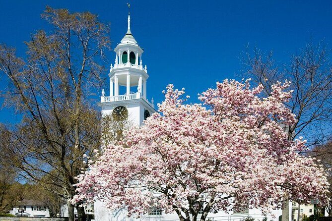 Classic Television and Sightseeing Locations 1 Day Tour in Boston - From Boston to Cape Ann: Coastal Charm and Hollywood Films