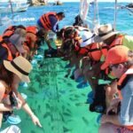 Clear Boat Ride with City Tour in Los Cabos - The Itinerary Breakdown