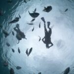 Clear Boat & Snorkel Cozumel Tour with Drinks - The Itinerary in Detail