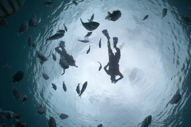 Clear Boat & Snorkel Cozumel Tour with Drinks - The Itinerary in Detail