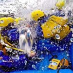 Clear Creek Whitewater Rafting Trip: Intermediate Level - Final Thoughts