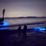 Clear Kayak Bioluminescence Tour - Cocoa Beach - The Practicalities
