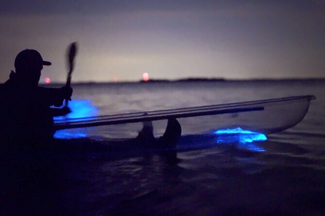 Clear Kayak Bioluminescence Tour - Cocoa Beach - The Practicalities