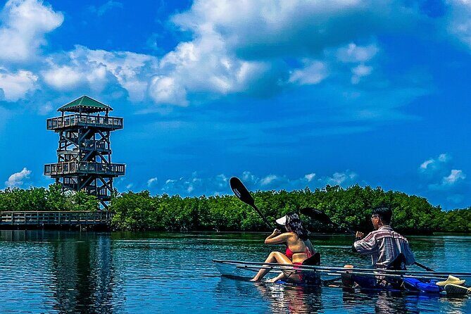 Clear Kayak Ecotour at Robinson Preserve in Bradenton, Florida - The Experience and Group Size