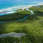 Clear Kayak Guided Eco Tour in North Naples - What We Love About the Tour