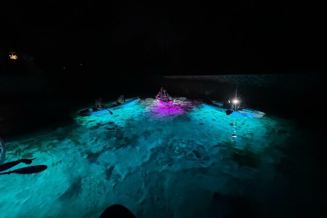 Clear Kayak Manatee Viewing Sunset and Glow Tour of Crystal River - Why We Think This Tour Works