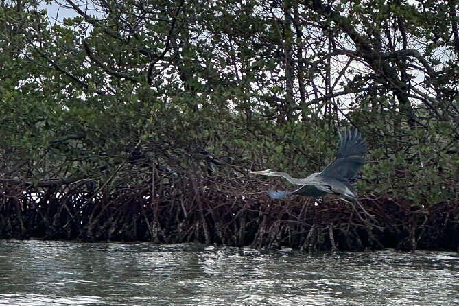 Clear Kayak RentalPeanut Island/West Palm Beach - The Practical Details
