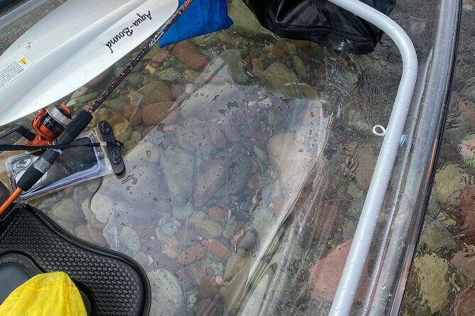 Clear Kayak Rentals for Flathead Lake - The Real Experience: What Travelers Say