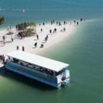 Clearwater Beach: Dolphin & Island Sandbar Cruise - What You Can Expect from the Tour