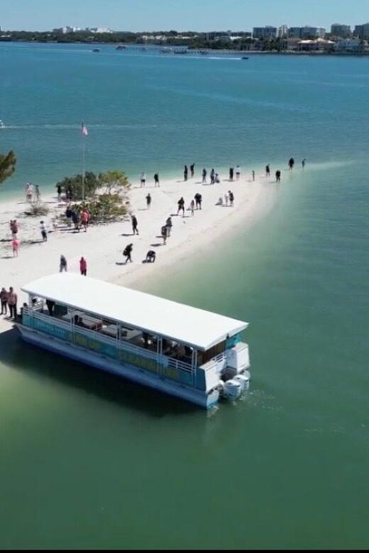 Clearwater Beach: Dolphin & Island Sandbar Cruise - What You Can Expect from the Tour