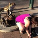 Clearwater City Scavenger Hunt by 3Quest Challenge - Who Is This Tour Best For?