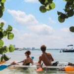Clearwater: Guided Clear Kayaking Tour - The Itinerary and Experience
