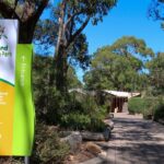 Cleland Wildlife Park Experience - from Adelaide including Mt Lofty Summit - The Value of This Tour