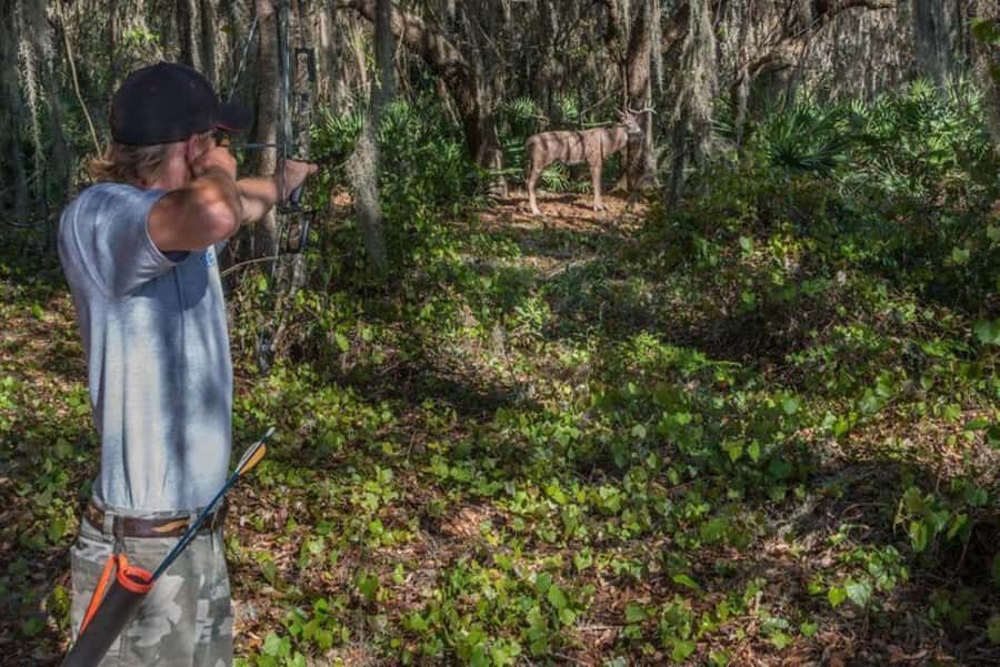 Clermont: Target Archery Experience - How the Experience is Structured