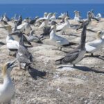 Coast to Coast Private Eco Tour - Why This Tour Is Worth Considering