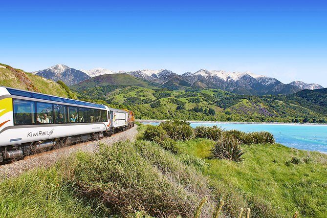 Coastal Pacific Train Journey from Picton to Christchurch - Who Is This Journey Best For?