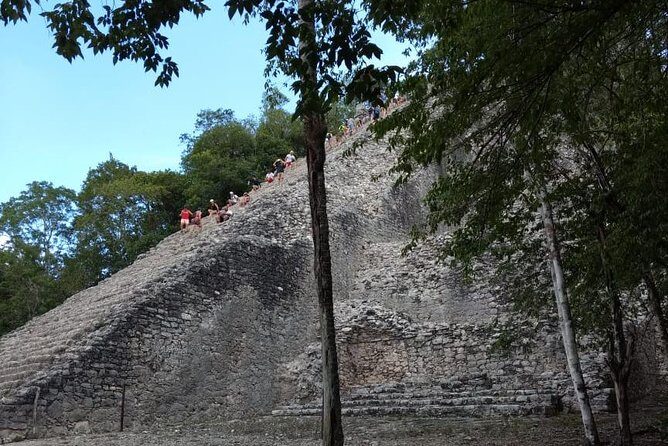 Coba Cenote and Maya Village Private Guided Tour - Why This Tour is Worth Considering