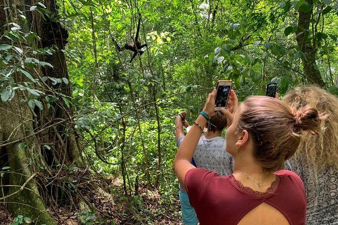 Coba & Monkey Sanctuary Punta Laguna Private Tour - A Deep Dive into the Tour Experience