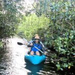 Cocoa Beach/Merritt Island: Guided Dolphin and Manatee Tour - Who Is This Tour Best For?